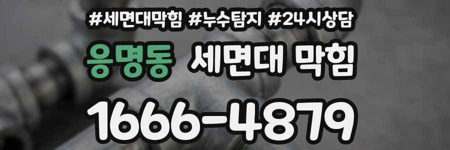 응명동 세면대 막힘