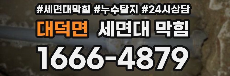 대덕면 세면대 막힘