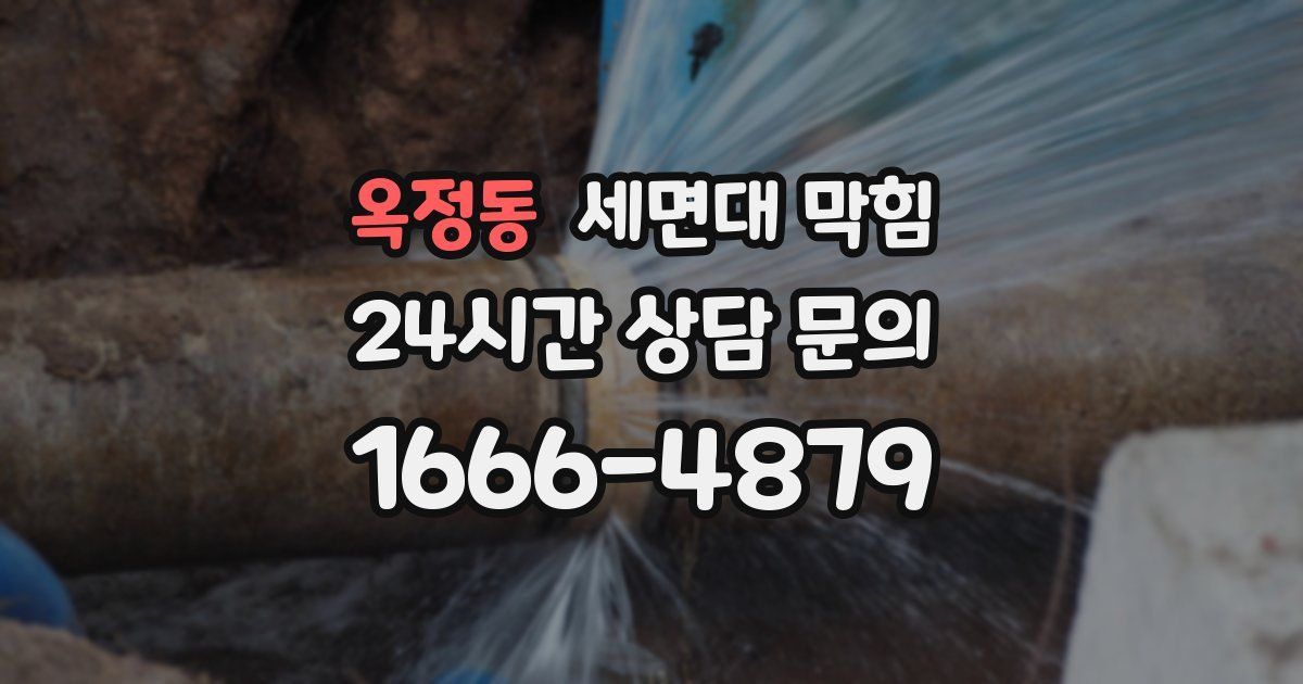 옥정동 세면대 막힘