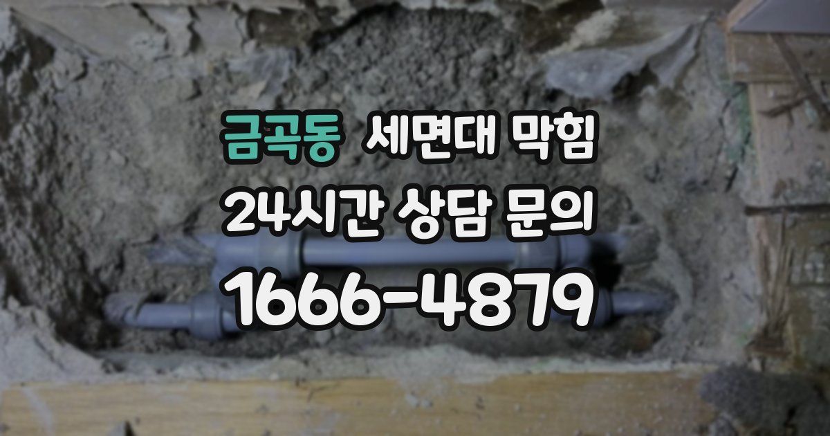 금곡동 세면대 막힘