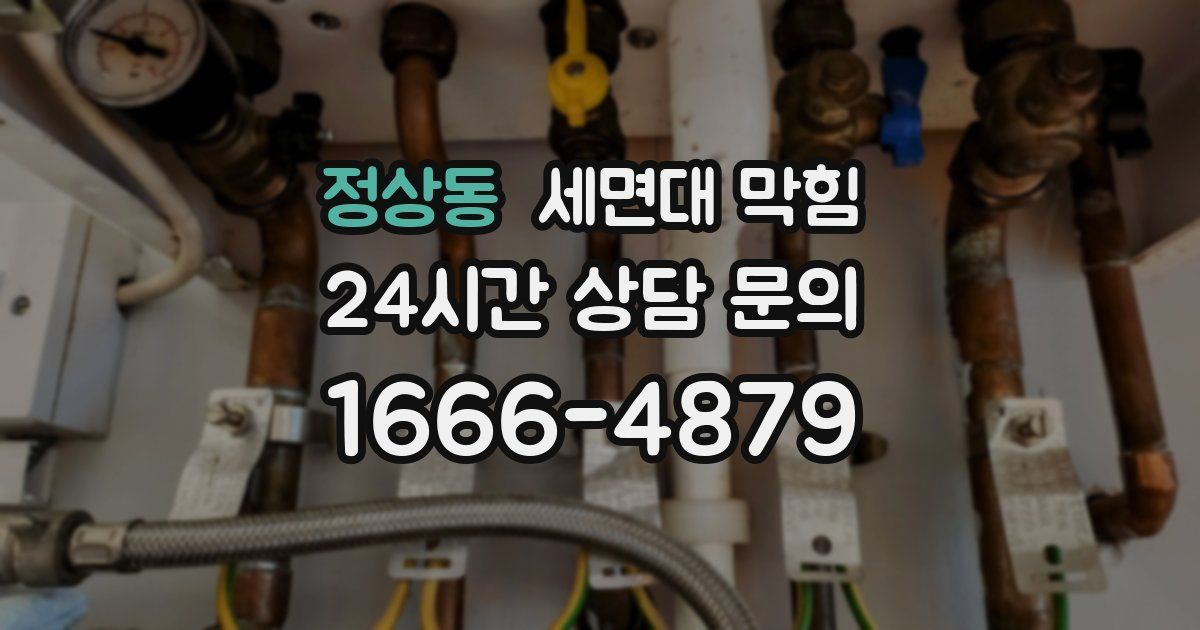 정상동 세면대 막힘