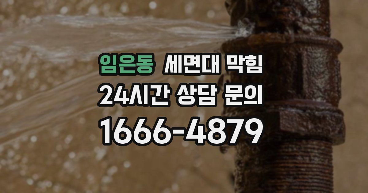 임은동 세면대 막힘