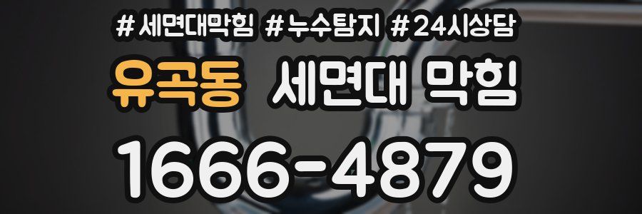 유곡동 세면대 막힘
