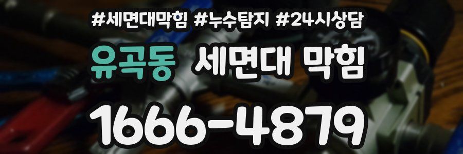 유곡동 세면대 막힘