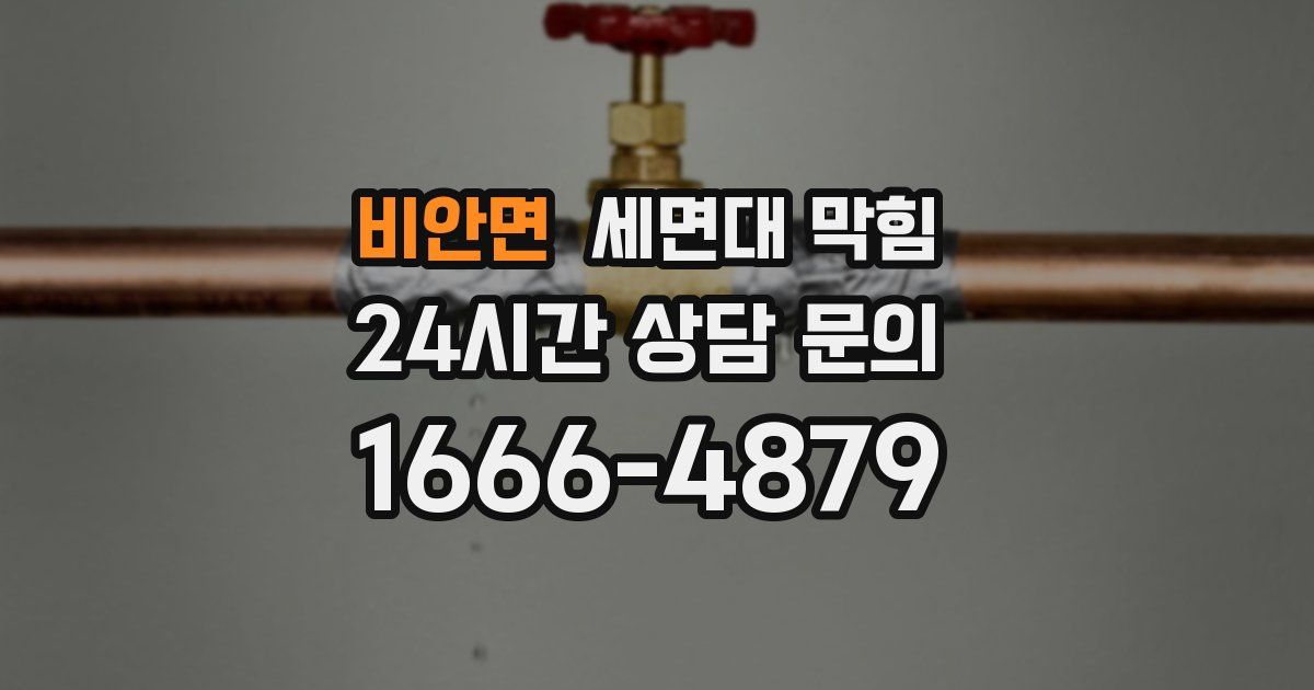 비안면 세면대 막힘