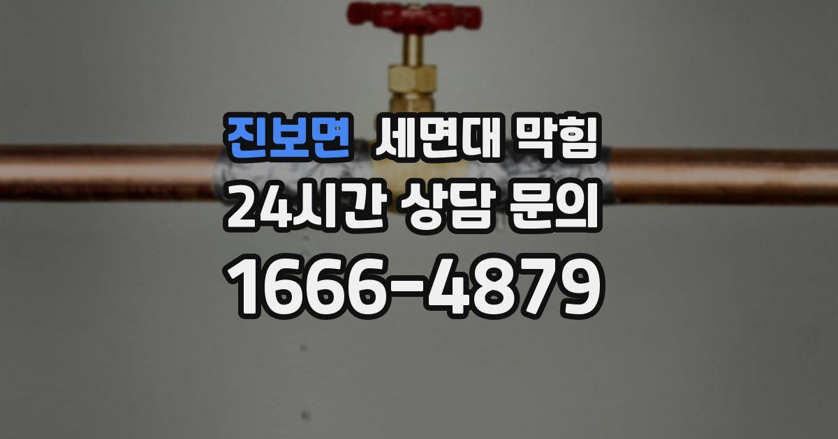 진보면 세면대 막힘