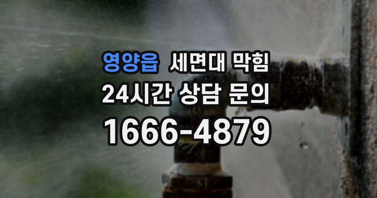 영양읍 세면대 막힘