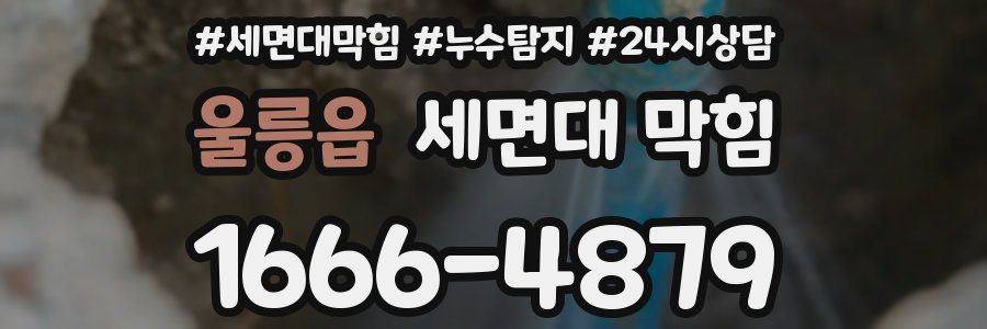 울릉읍 세면대 막힘