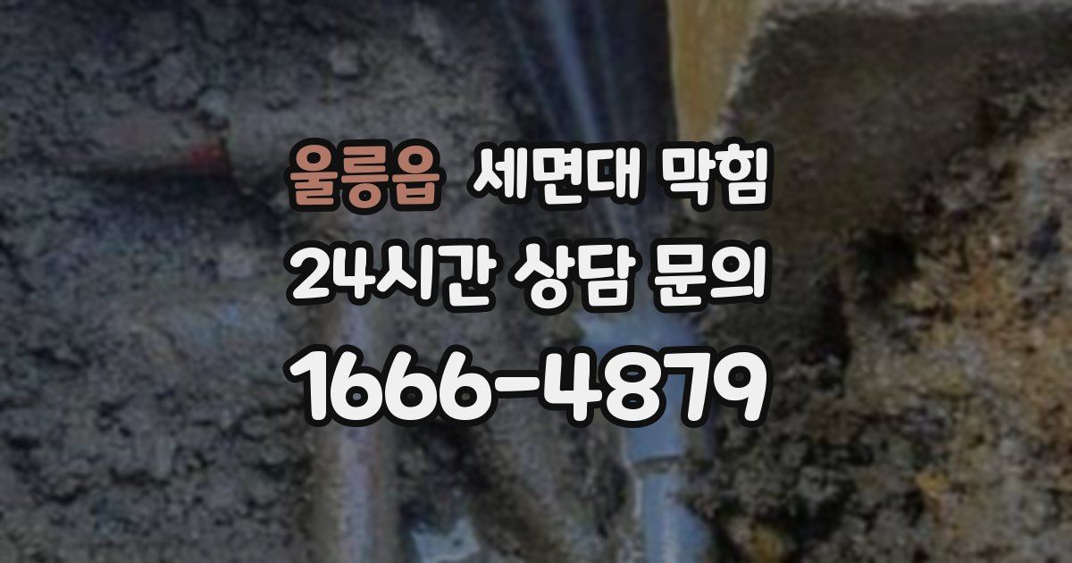 울릉읍 세면대 막힘