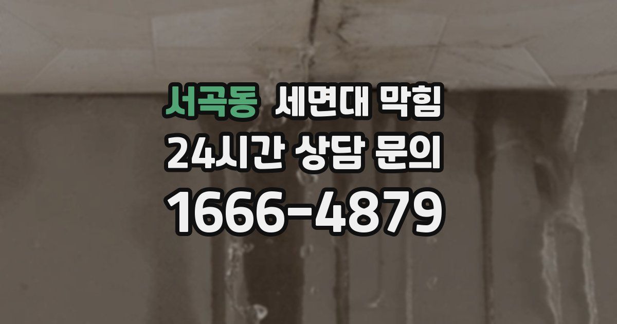 서곡동 세면대 막힘