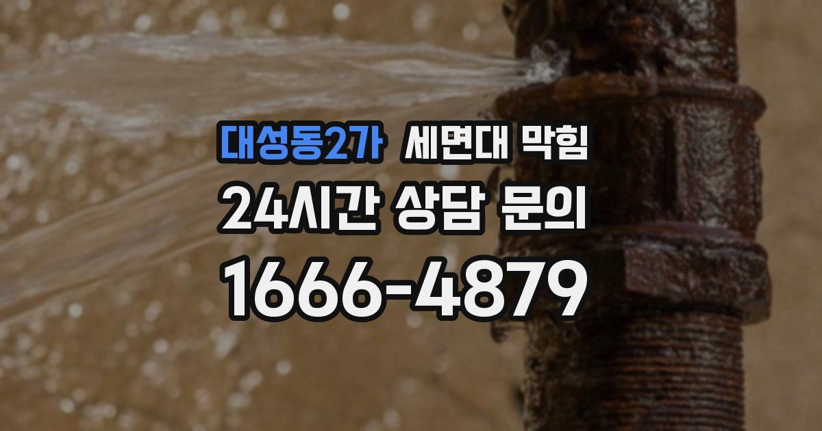 대성동2가 세면대 막힘