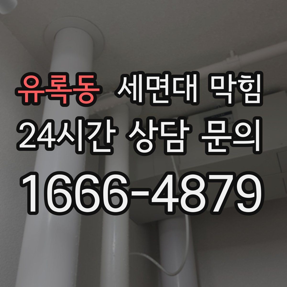 유록동 세면대 막힘 배수할 때 거품·찌꺼기가 올라오면
