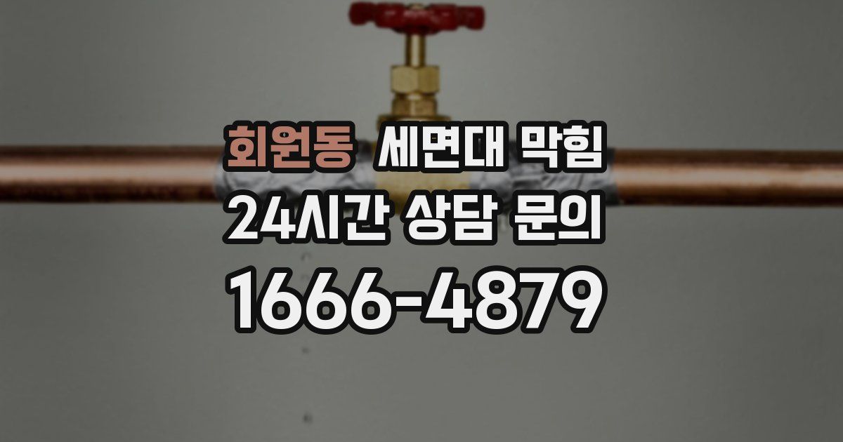 회원동 세면대 막힘