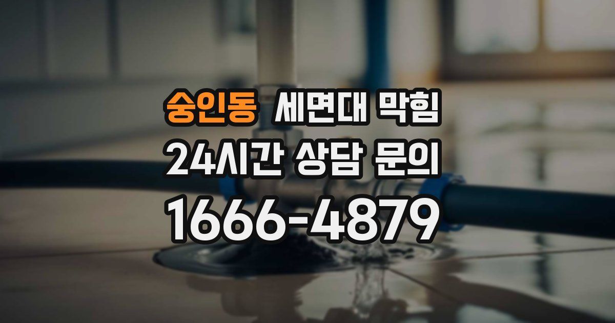 숭인동 세면대 막힘