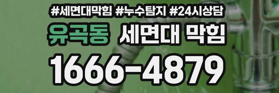 유곡동 세면대 막힘