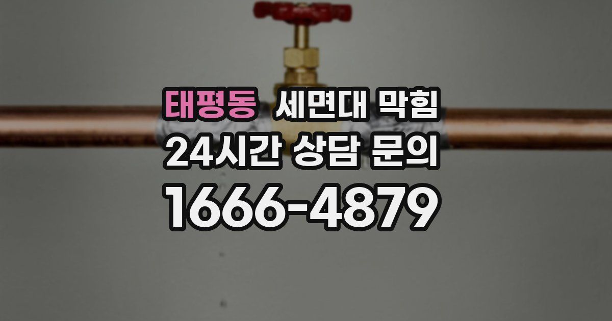 태평동 세면대 막힘