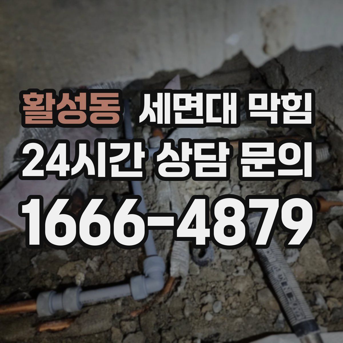 활성동 세면대 막힘