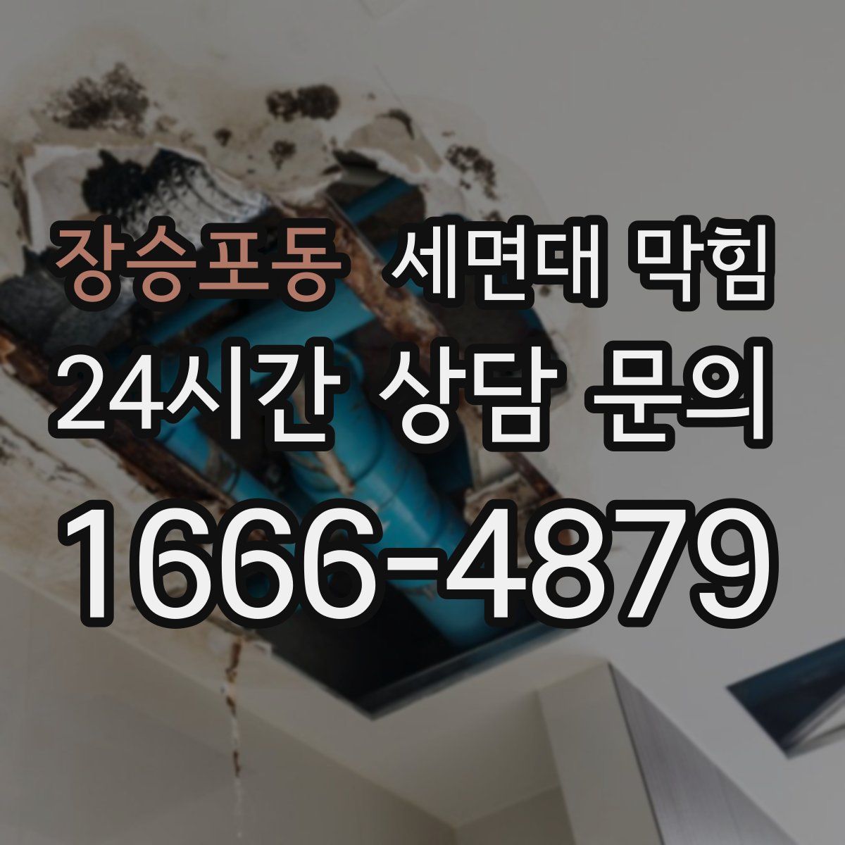 장승포동 세면대 막힘