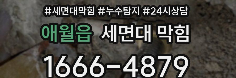 애월읍 세면대 막힘