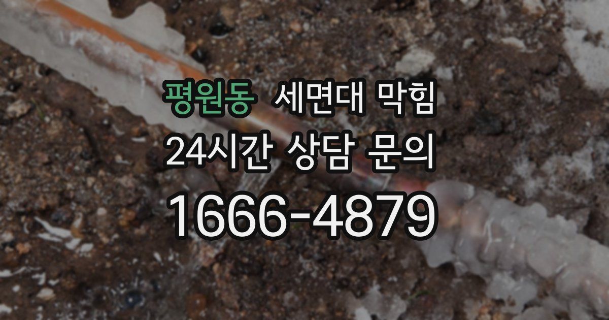 평원동 세면대 막힘