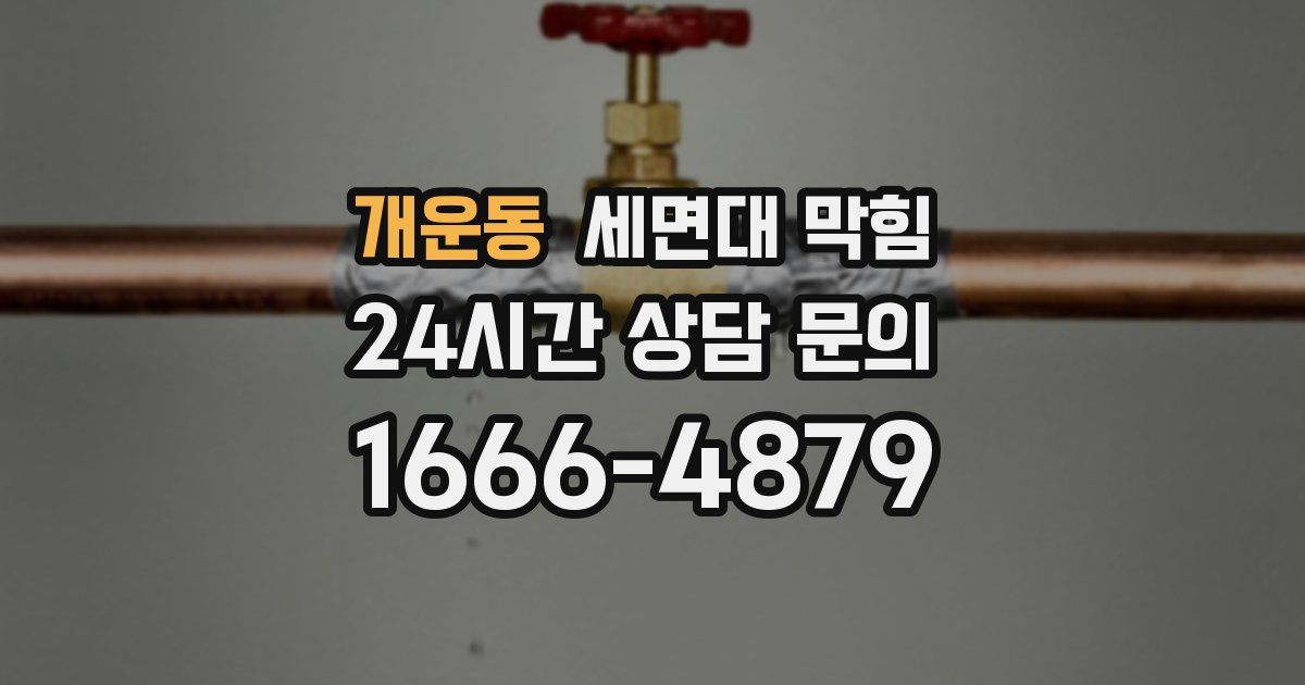 개운동 세면대 막힘