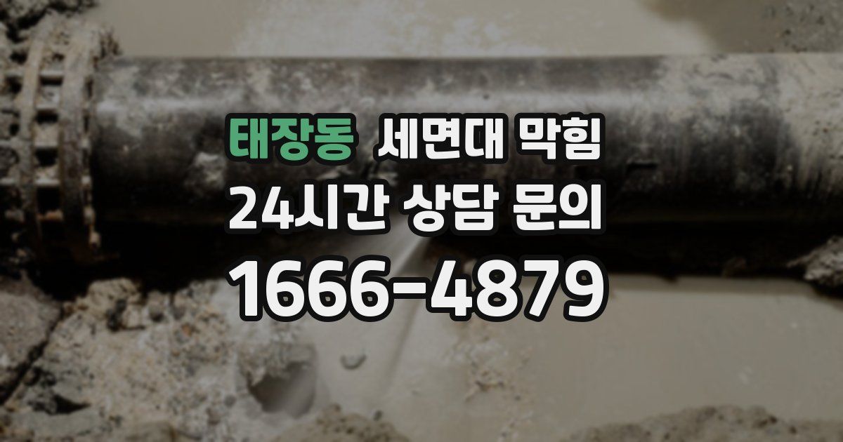 태장동 세면대 막힘