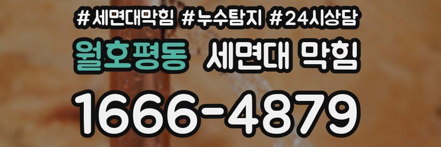 월호평동 세면대 막힘