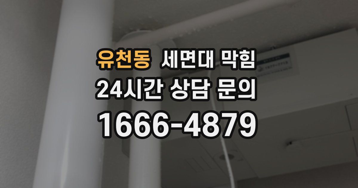 유천동 세면대 막힘