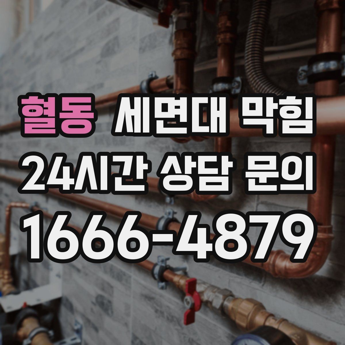 혈동 세면대 막힘 막힘+냄새가 동시에 나면 체크 포인트