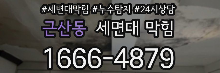 근산동 세면대 막힘