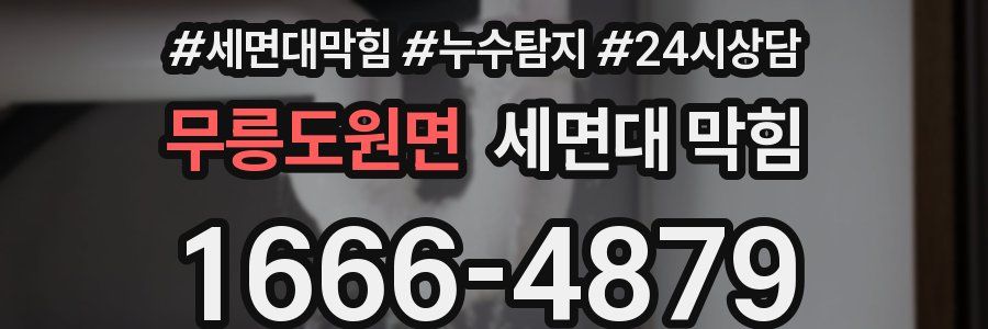 무릉도원면 세면대 막힘