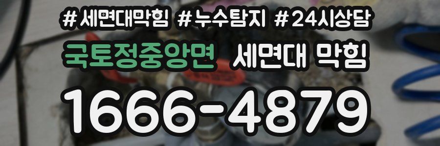 국토정중앙면 세면대 막힘