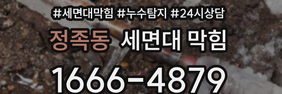 정족동 세면대 막힘