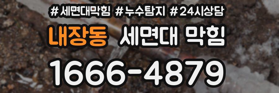 내장동 세면대 막힘