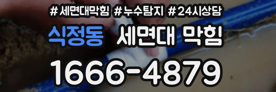 식정동 세면대 막힘