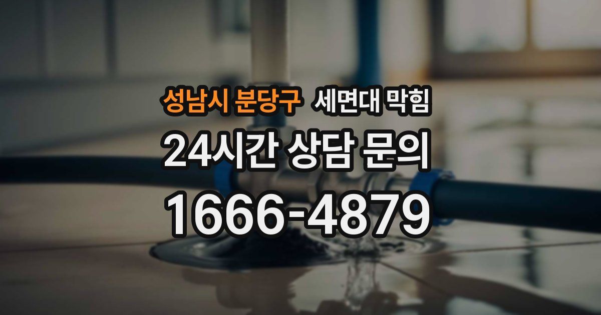 성남시 분당구 세면대 막힘