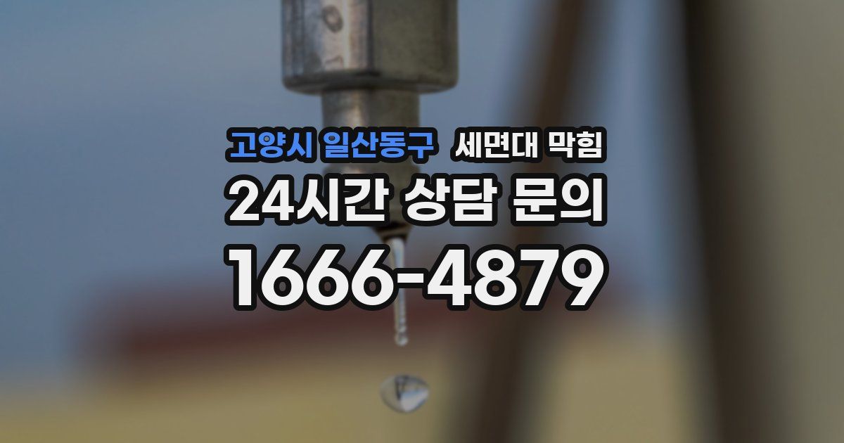 고양시 일산동구 세면대 막힘