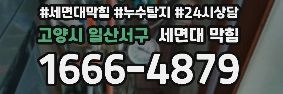 고양시 일산서구 세면대 막힘
