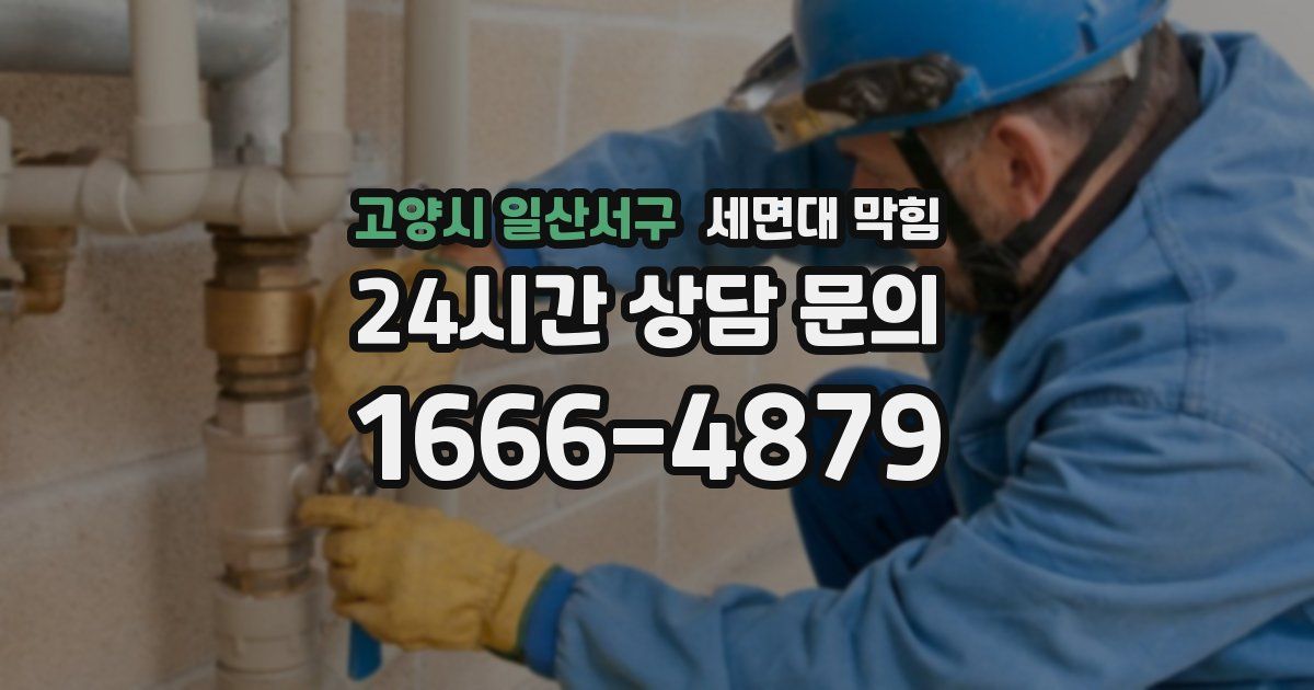 고양시 일산서구 세면대 막힘