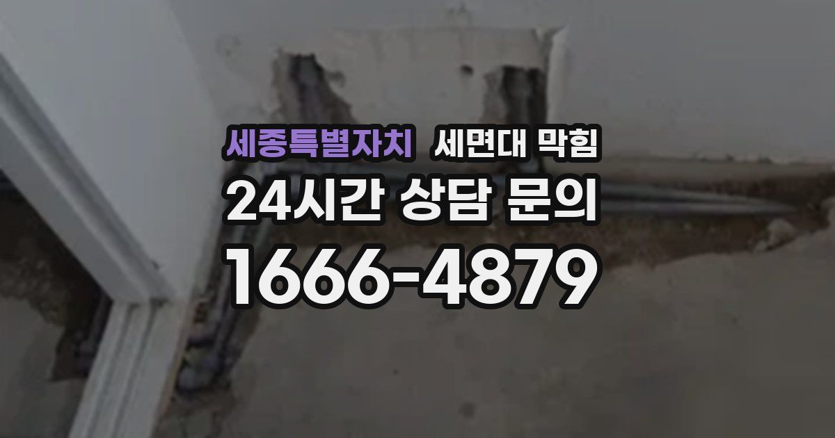 세종특별자치 세면대 막힘