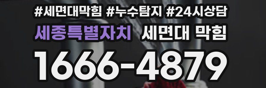 세종특별자치 세면대 막힘