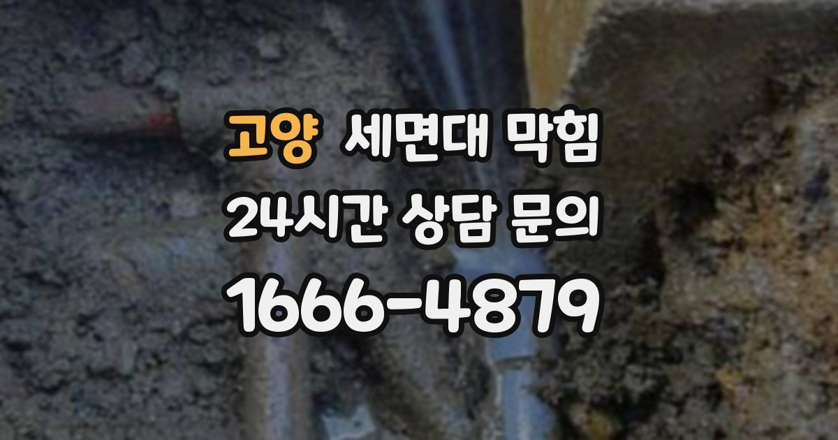 고양 세면대 막힘