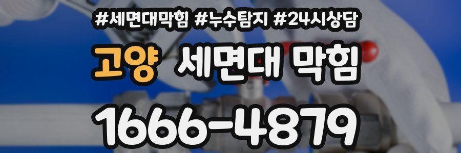 고양 세면대 막힘