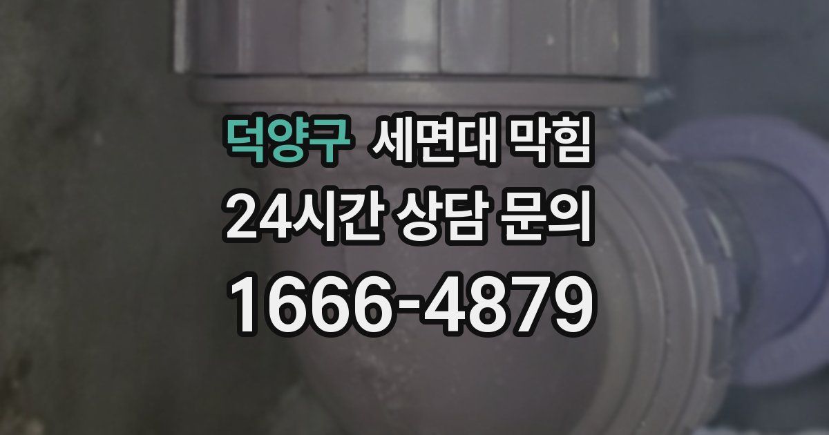 덕양구 세면대 막힘