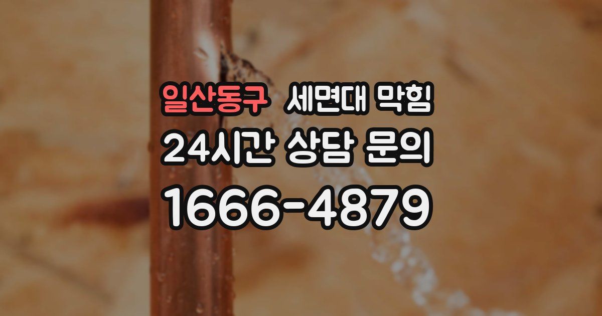 일산동구 세면대 막힘