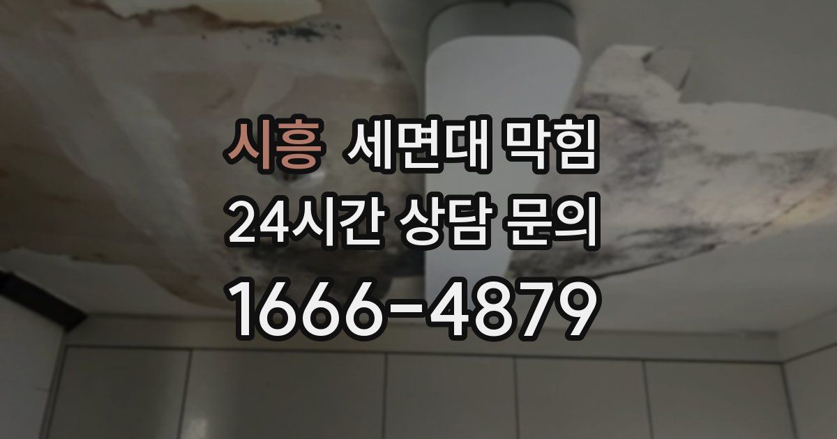 시흥 세면대 막힘