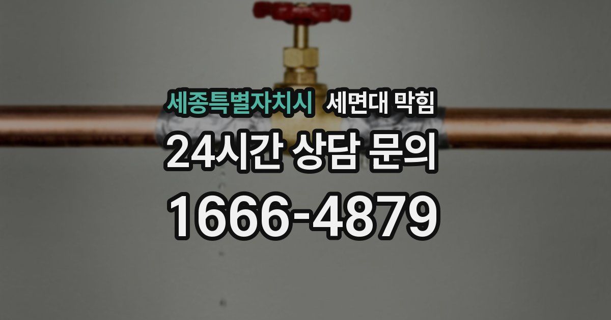 세종특별자치시 세면대 막힘