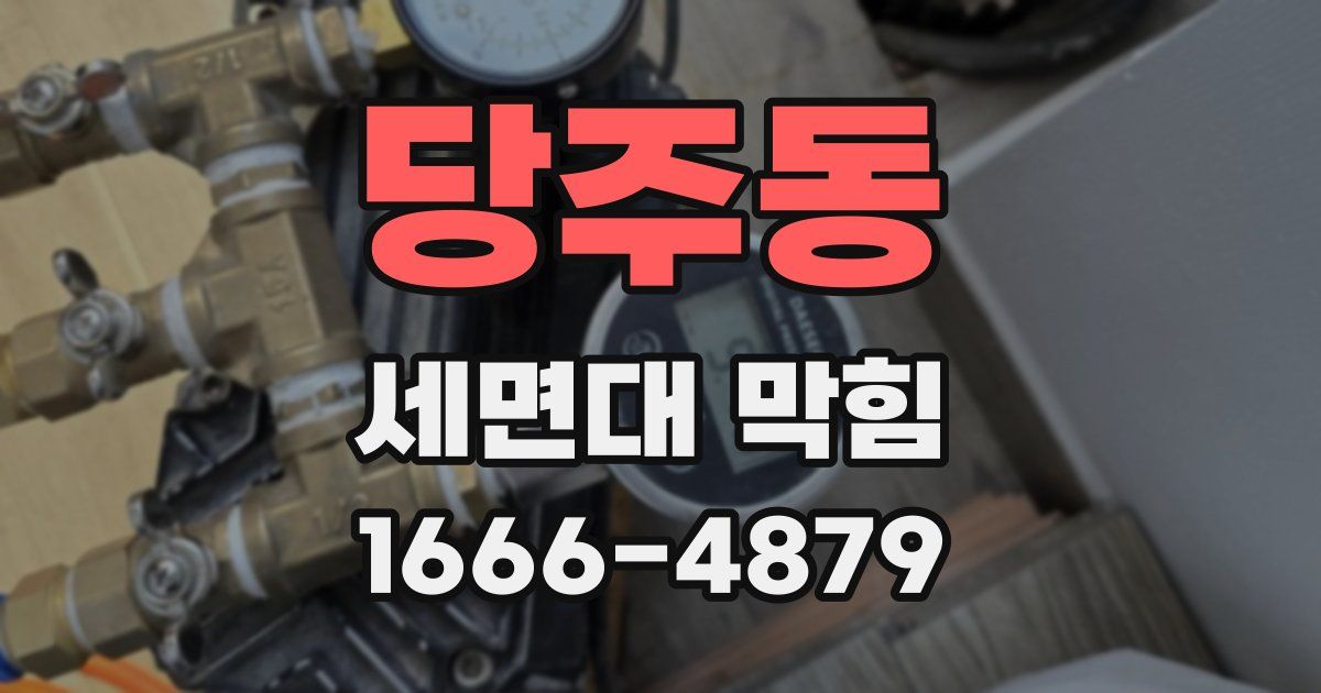 당주동 세면대 막힘