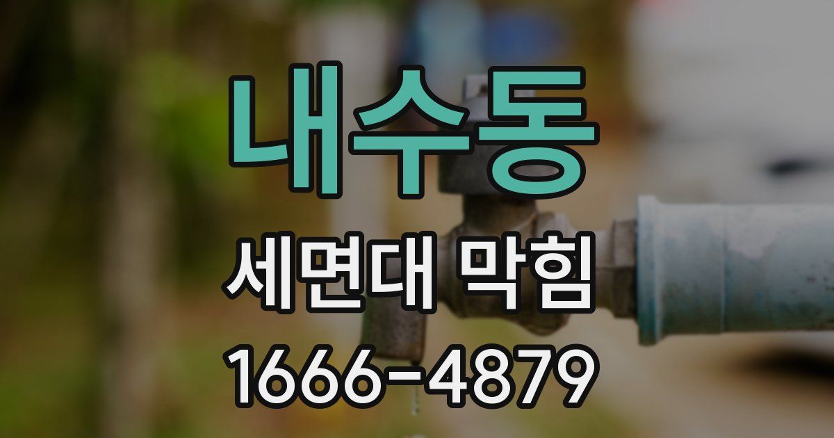 내수동 세면대 막힘