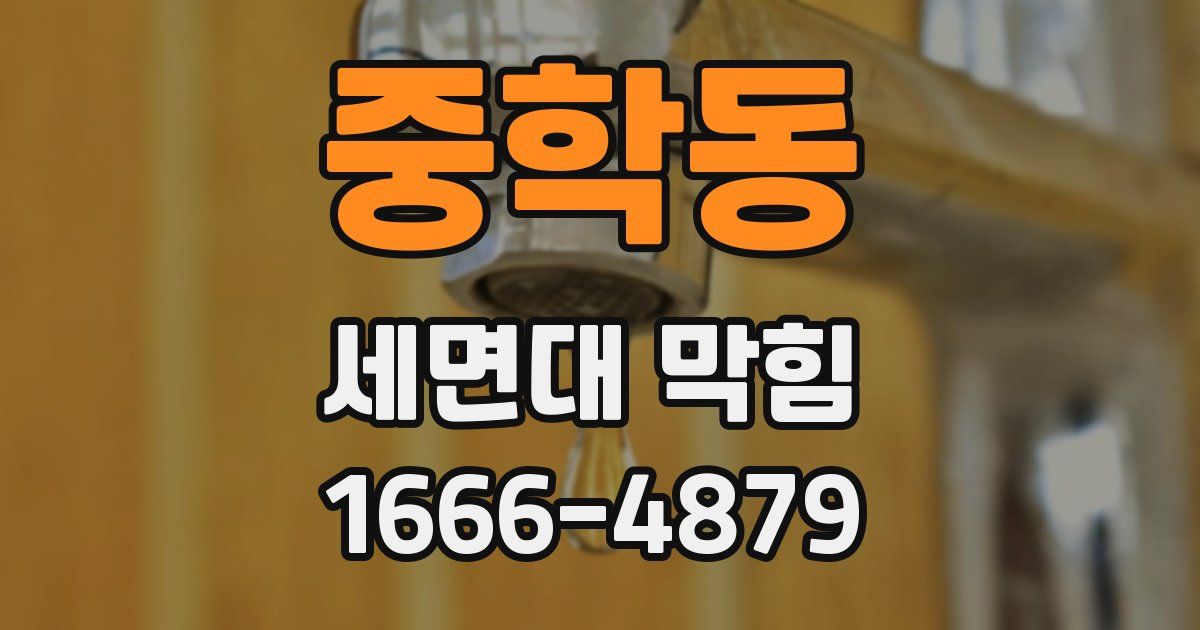 중학동 세면대 막힘